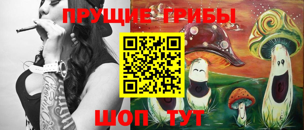 Михайловск  Псилоцибиновые грибы Cubensis  Вход с VPN  Галлюциногенные грибы мухоморы 